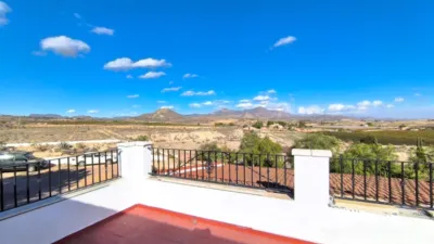Villa in Novelda photo 6