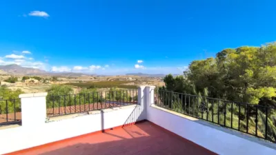 Villa in Novelda photo 7