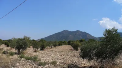 Terreno en venta en Biar - Más
