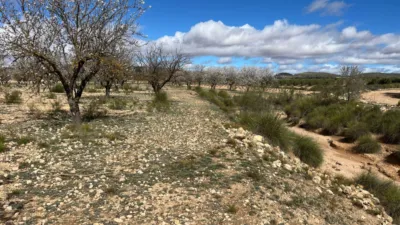 Rustic Finca in Yecla photo 2