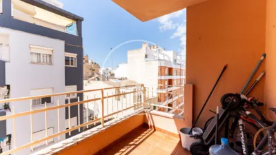 Apartment in Es Camp Redó photo 5