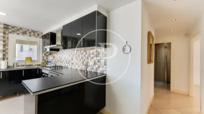 Apartment in Es Camp Redó photo 8