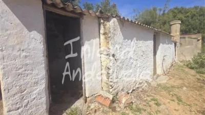 Rustic Finca in Alcaucín photo 16