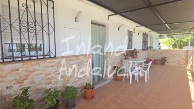 Rustic Finca in Alcaucín photo 4
