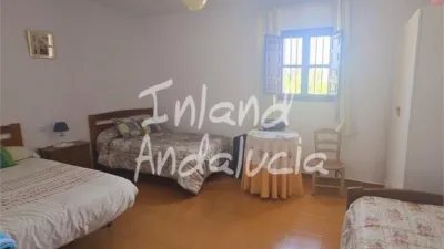 Rustic Finca in Alcaucín photo 8