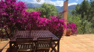 Apartment in Port de Sóller photo 3