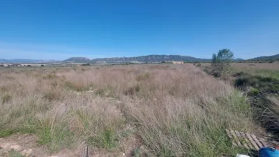 Terreno en venta en Salinas - Vista 3