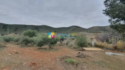 Rustic Finca in Líjar photo 23