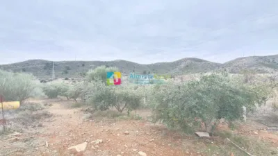 Rustic Finca in Líjar photo 24