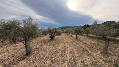 Terreno en venta en Onil - Vista 2