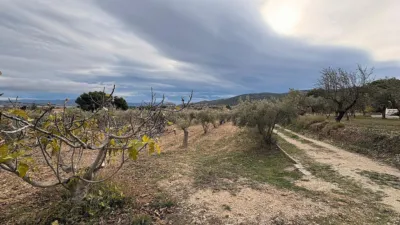 Terreno en venta en Onil - Vista 4