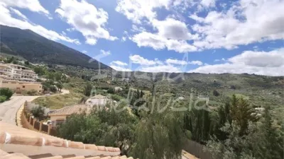 Apartment in Alcaucín photo 3