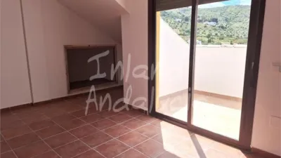 Apartment in Alcaucín photo 6