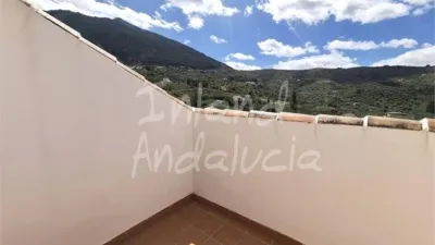 Apartment in Alcaucín photo 7