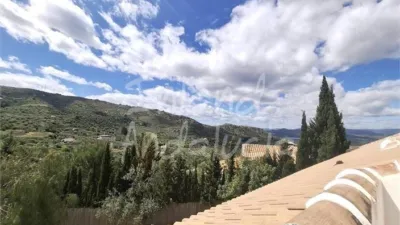 Apartment in Alcaucín photo 8
