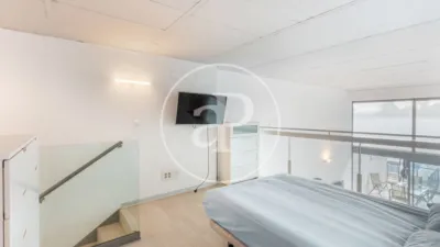 Apartment in Vara de Quart photo 16