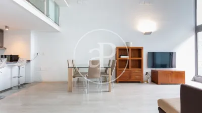 Apartment in Vara de Quart photo 7