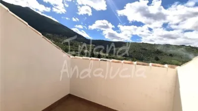 Apartment in Alcaucín photo 4
