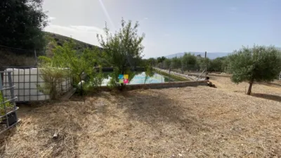 Rustic Finca in Lúcar photo 28