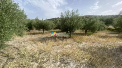 Rustic Finca in Lúcar photo 30