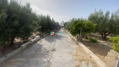 Rustic Finca in Lúcar photo 31