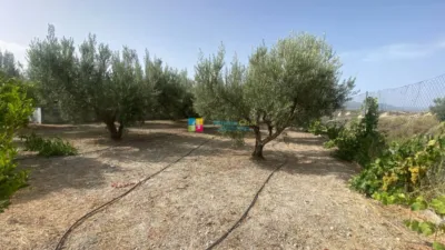 Rustic Finca in Lúcar photo 32