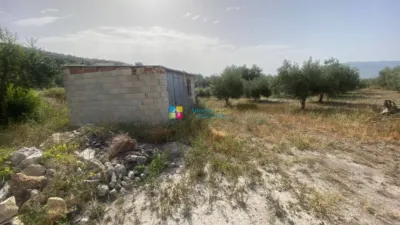 Rustic Finca in Lúcar photo 34