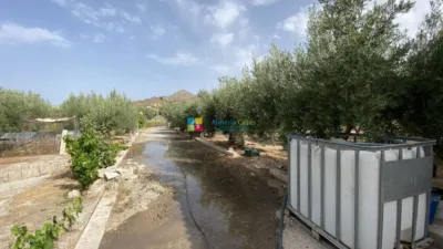 Rustic Finca in Lúcar photo 35