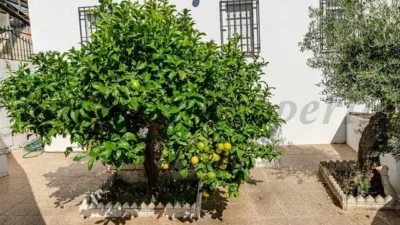 House in Canillas de Albaida photo 17
