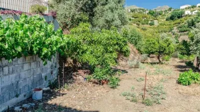 House in Canillas de Albaida photo 25