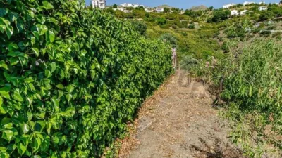 House in Canillas de Albaida photo 26