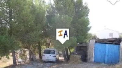 Rustic finca in Mures photo 3