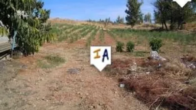 Rustic finca in Mures photo 7