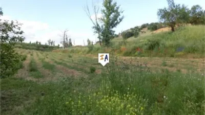 Rustic finca in Mures photo 9