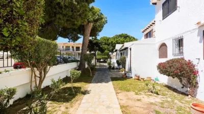 House in Cabo Roig-La Zenia-La Regia photo 38