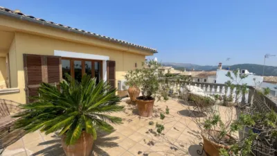 House in Campanet photo 16