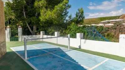 Rustic Finca in Mezquitilla photo 19