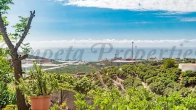 Rustic Finca in Mezquitilla photo 2