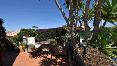 Chalet en Algorfa photo 40