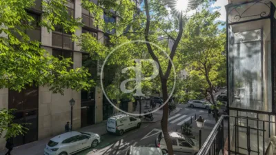 Apartamento en Goya photo 49