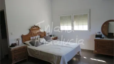 Chalet in Andújar photo 10