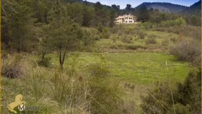 Rustic Finca in Siles photo 14