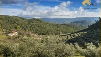 Rustic Finca in Siles photo 3