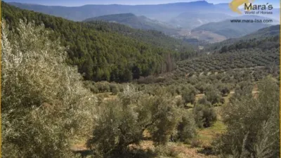 Rustic Finca in Siles photo 9