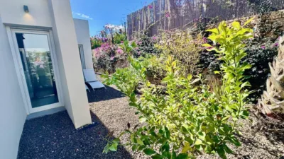 House in Algorfa photo 22