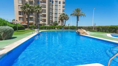 Apartment in Guardamar del Segura photo 28