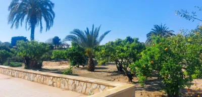 Finca rústica en venta en La Marina, La Marina (Villaviciosa) de 570.000 €