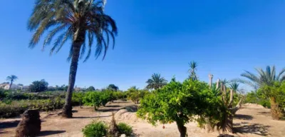 Finca rústica en venta en La Marina, La Marina (Villaviciosa) de 570.000 €