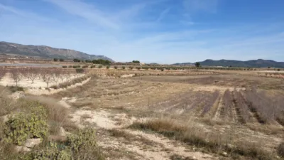 Terreno en venta en El Pinós - Pinoso - Vista 4