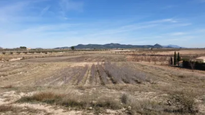 Terreno en venta en El Pinós - Pinoso - Vista 5